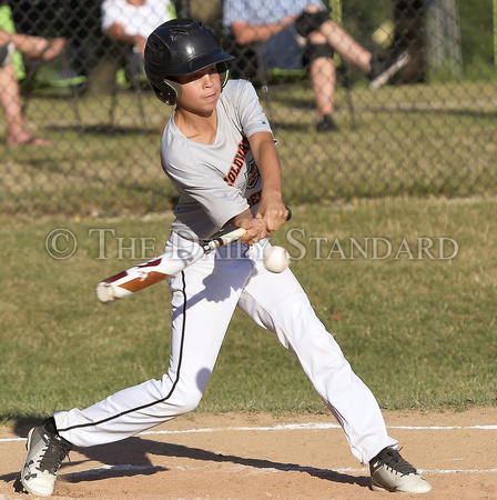 coldwater-gray-marion-gold-baseball-012