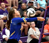 fort-recovery-st-marys-volleyball-002