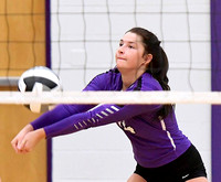 fort-recovery-celina-volleyball-005