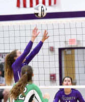 fort-recovery-celina-volleyball-006