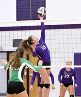 fort-recovery-celina-volleyball-011