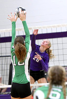 fort-recovery-celina-volleyball-013