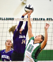 celina-fort-recovery-volleyball-003