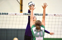 celina-fort-recovery-volleyball-001
