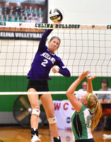 celina-fort-recovery-volleyball-005