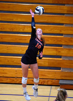 coldwater-marion-local-volleyball-006