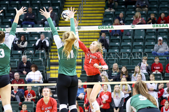 st-henry-mentor-lake-catholic-volleyball-008