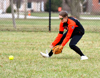 coldwater-bradford-softball-003