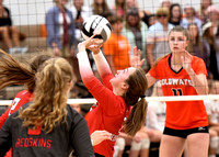 coldwater-st-henry-volleyball-002