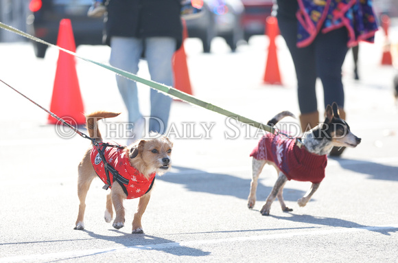 celina-kiwanis-club-reindog-parade-006