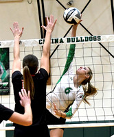 celina-coldwater-volleyball-005