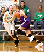 fort-recovery-celina-basketball-girls-002