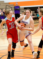 fort-recovery-lima-central-catholic-basketball-girls-002