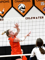 coldwater-carey-volleyball-005