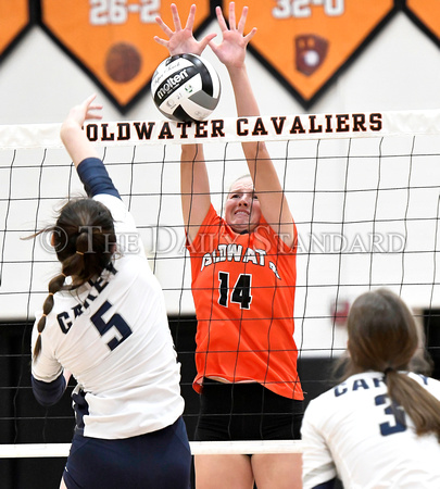 coldwater-carey-volleyball-010