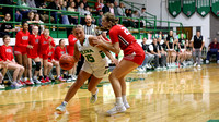 celina-wapakoneta-basketball-girls-001