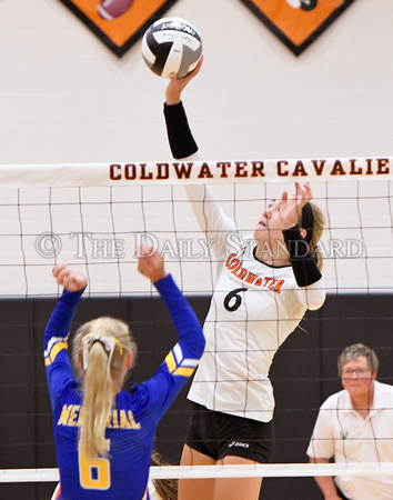 coldwater-st-marys-volleyball-002