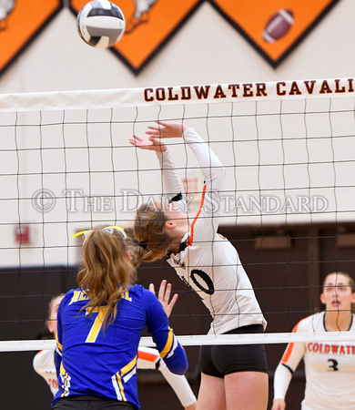 coldwater-st-marys-volleyball-005