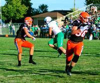 coldwater-celina-football-007