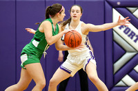 fort-recovery-celina-basketball-girls-012