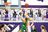 fort-recovery-celina-basketball-girls-013