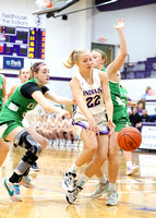 fort-recovery-celina-basketball-girls-014