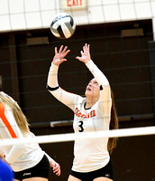 coldwater-elmwood-volleyball-003