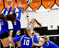 coldwater-elmwood-volleyball-007