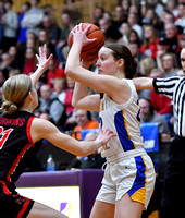 marion-local-fort-loramie-basketball-girls-001