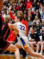 marion-local-fort-loramie-basketball-girls-005