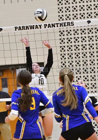 parkway-st-marys-volleyball-005