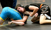 parkway-coldwater-wrestling-005