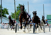 harness-racing-at-the-mercer-county-fairgrounds-012