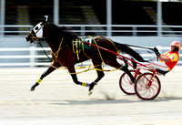 harness-racing-at-the-mercer-county-fairgrounds-014