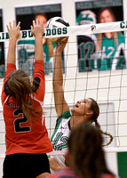 celina-bellefontaine-volleyball-002