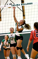 celina-bellefontaine-volleyball-008