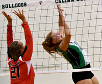 celina-bellefontaine-volleyball-014