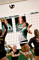celina-coldwater-volleyball-001