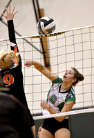 celina-coldwater-volleyball-003