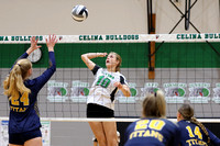 celina-ottawa-glandorf-volleyball-008