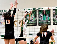 celina-coldwater-volleyball-008
