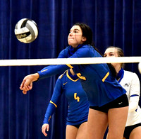 marion-local-ottoville-volleyball-005