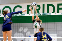 celina-ottawa-glandorf-volleyball-001