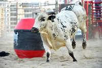 southern-extreme-bull-riding-008