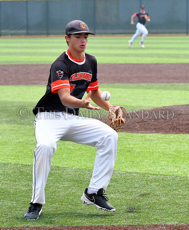 coldwater-perrysburg-baseball-010