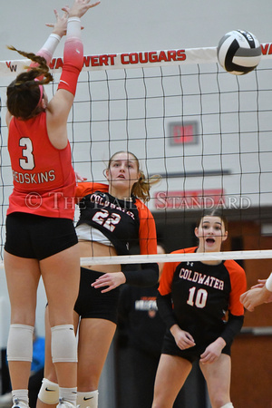 coldwater-st-henry-volleyball-007