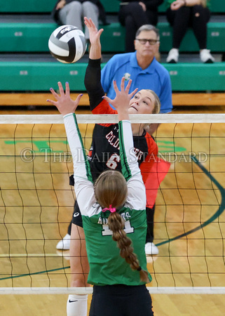 coldwater-anna-volleyball-007