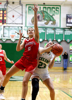 celina-wapakoneta-basketball-girls-006