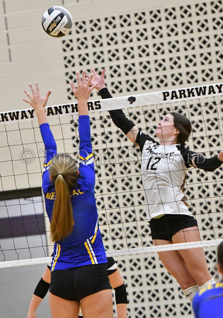 parkway-st-marys-volleyball-009