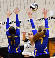 parkway-st-marys-volleyball-011